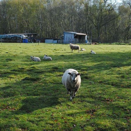 Chambres D'Hotes La Tribu Quévreville-la-Poterie Esterno foto