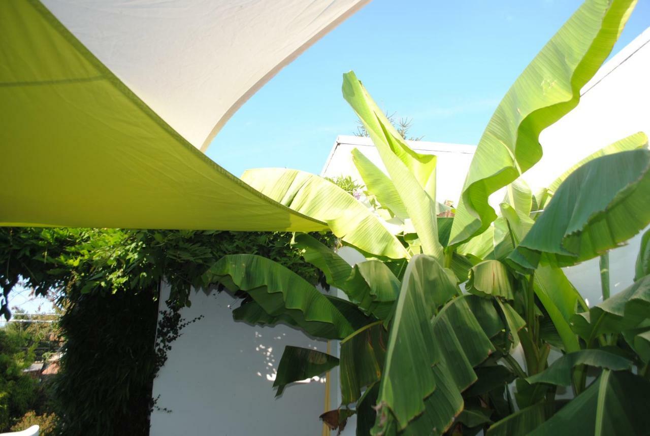 Chambres D'Hotes La Tribu Quévreville-la-Poterie Esterno foto