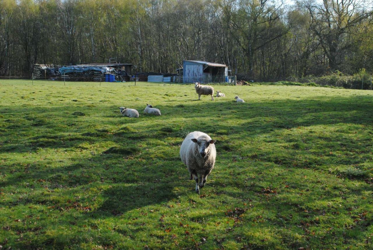 Chambres D'Hotes La Tribu Quévreville-la-Poterie Esterno foto